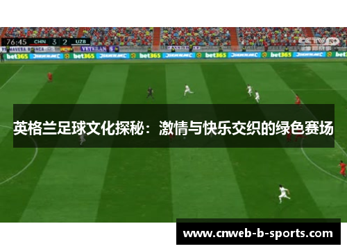 英格兰足球文化探秘：激情与快乐交织的绿色赛场
