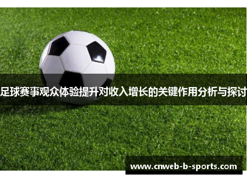 足球赛事观众体验提升对收入增长的关键作用分析与探讨