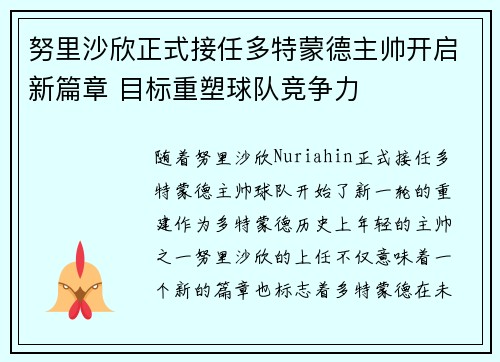 努里沙欣正式接任多特蒙德主帅开启新篇章 目标重塑球队竞争力